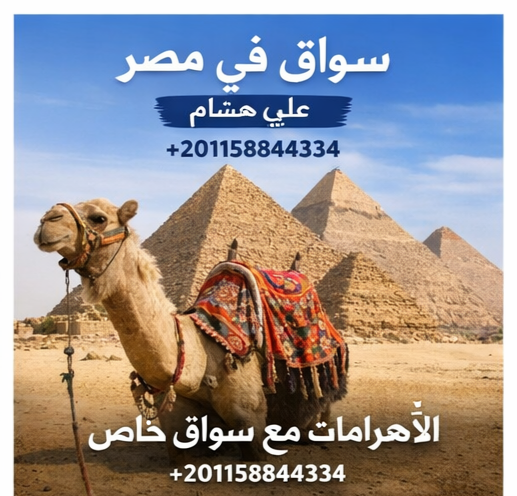 10003427148235177839515981348